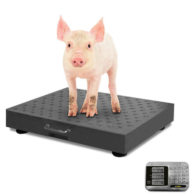 Rhino BAPIC-300 Plataforma Bascula 300 Kg - - Rhino - KitchenMax Store