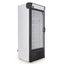 Torrey CV16 PTCV-0003 Congelador Exhibidor Vertical 1 Puerta Cristal 4 Parrillas Cuerpo Esmaltado - Congeladores - Torrey - KitchenMax Store